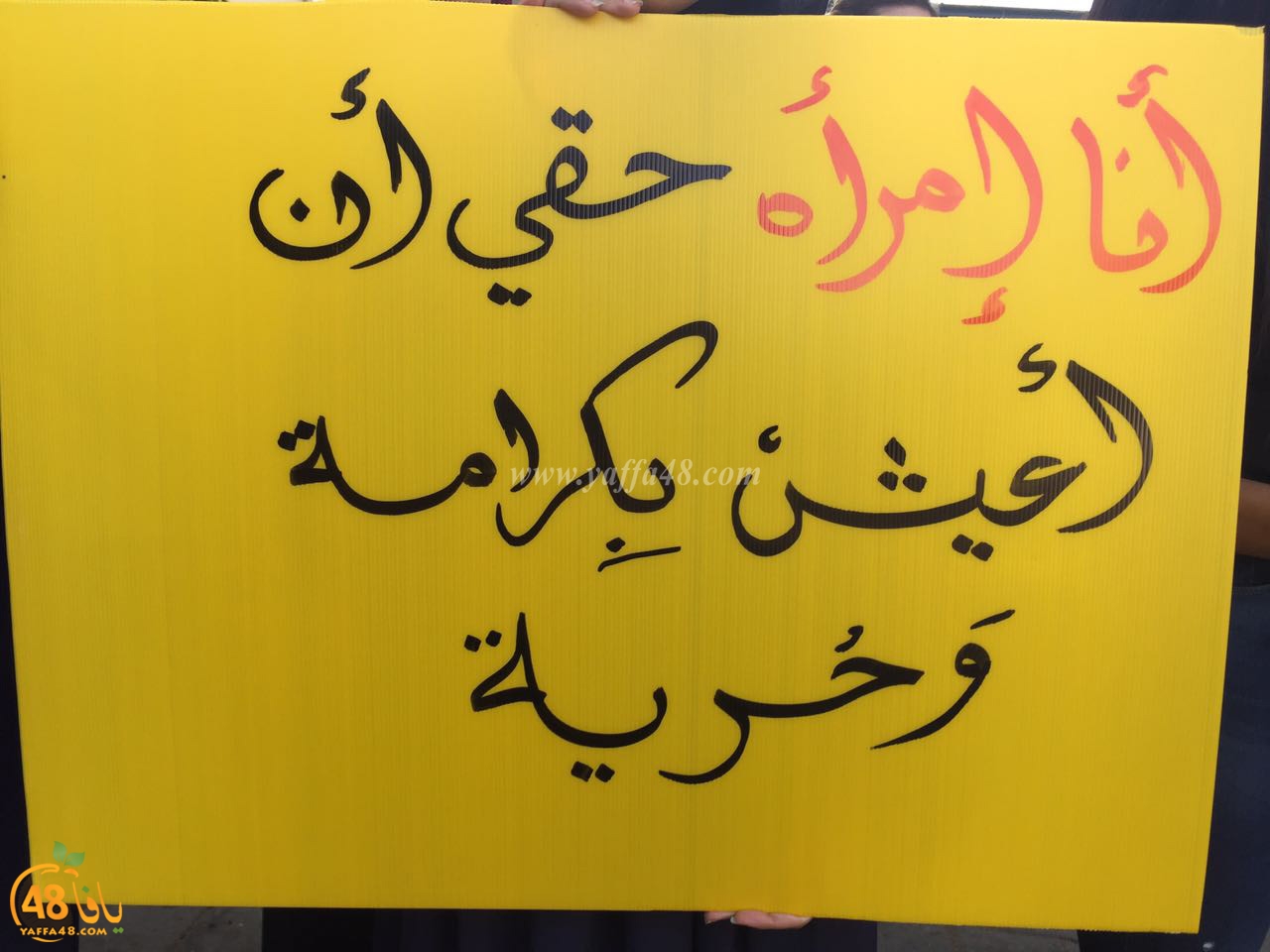 shamela tolab 3onf (18).jpg